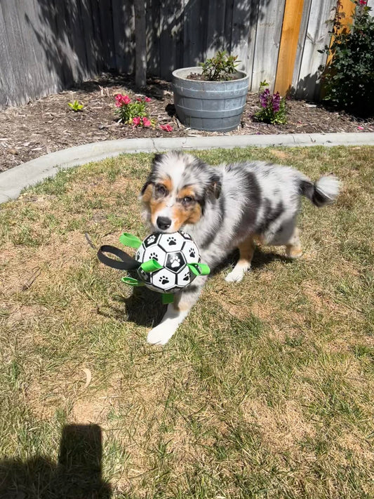 Discover the Best Ball from Tuffy Pet Supplies: FetchFrenzy GrabTab Dog Soccer Ball