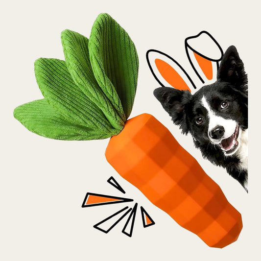 Squeaky Dog Chew Toy – Crinkle & Durable Rubber for Aggressive Chewers