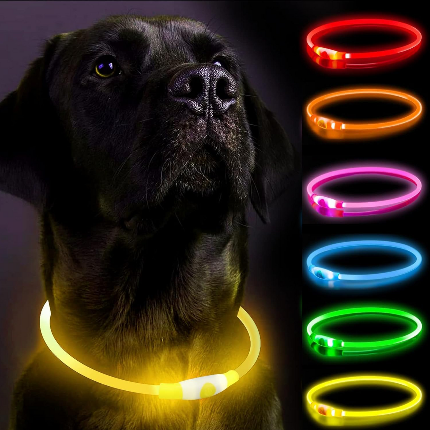 GlowTrail Safety Collar