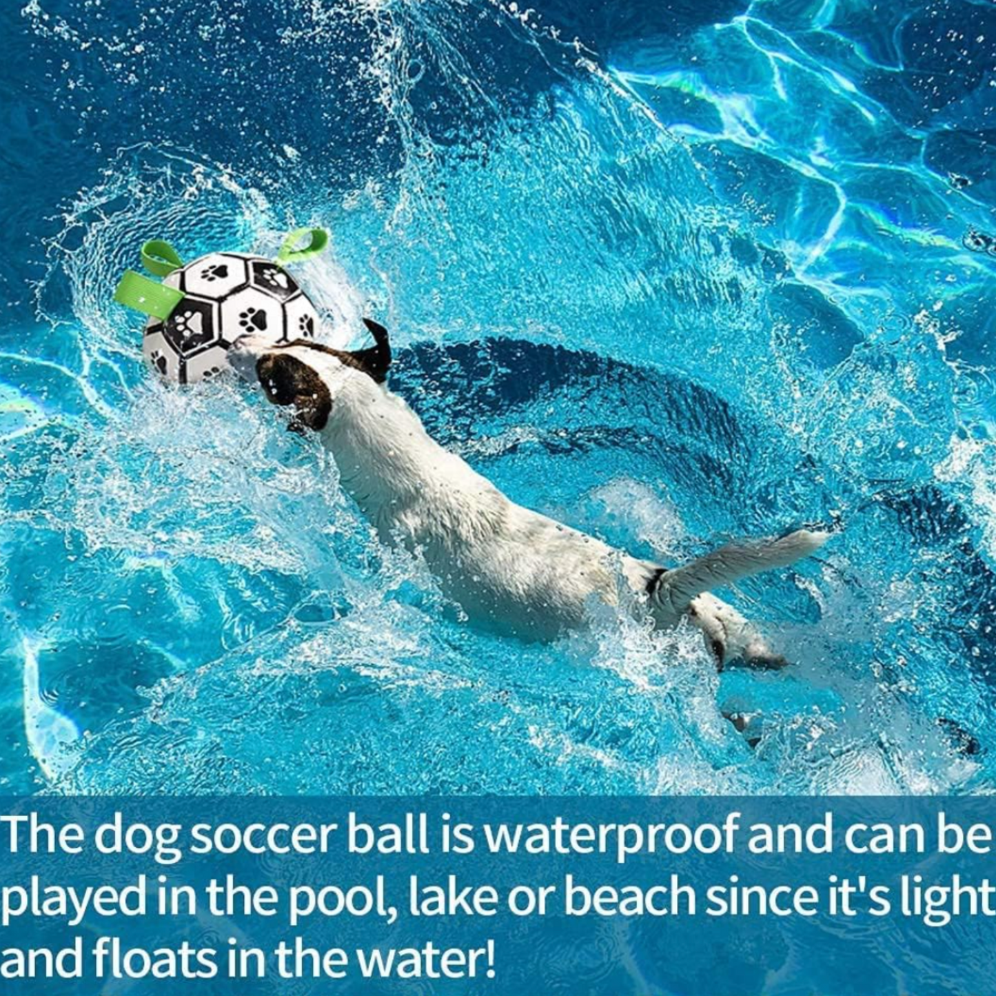 FetchFrenzy GrabTab Dog Soccer Ball