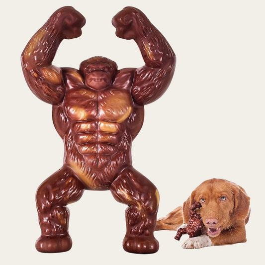 Indestructible Dog Toys for Aggressive Chewers – Extreme Tough Dog Bone