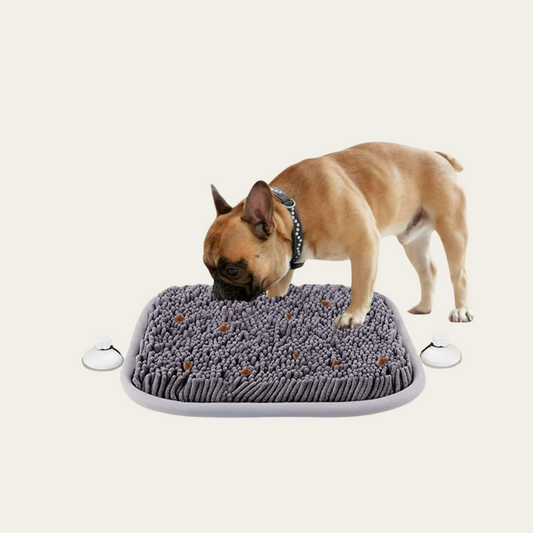 Snuffle Mat for Dogs – Interactive Foraging Toy
