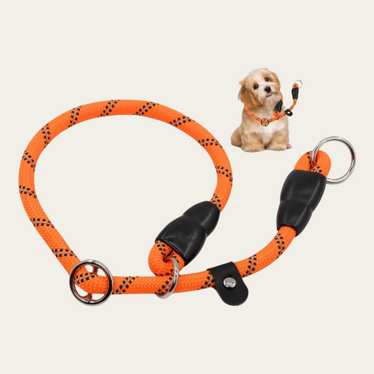 Dog Slip Collar with Reflective Strips