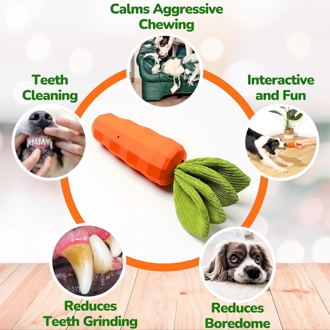 Squeaky Dog Chew Toy – Crinkle & Durable Rubber for Aggressive Chewers