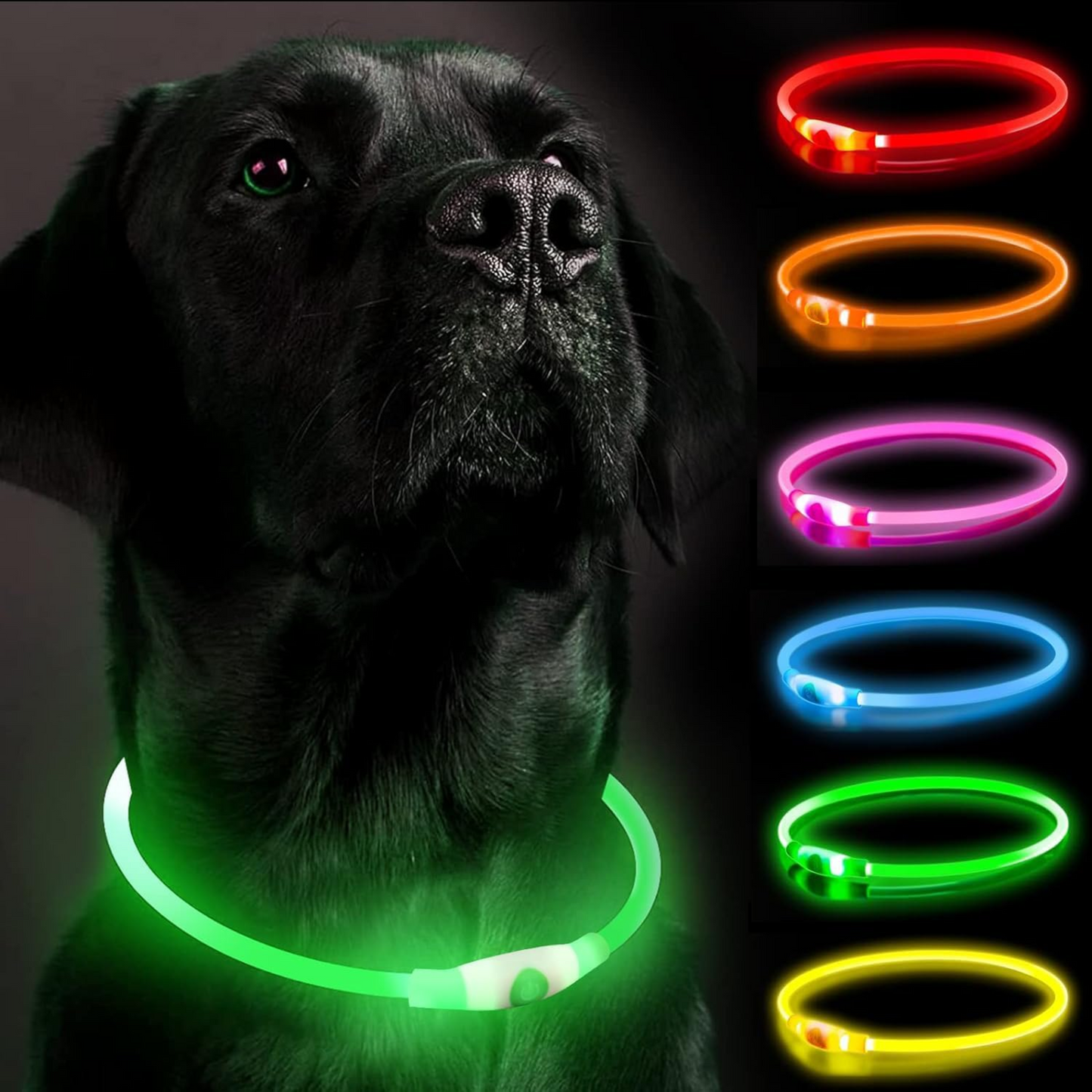 GlowTrail Safety Collar