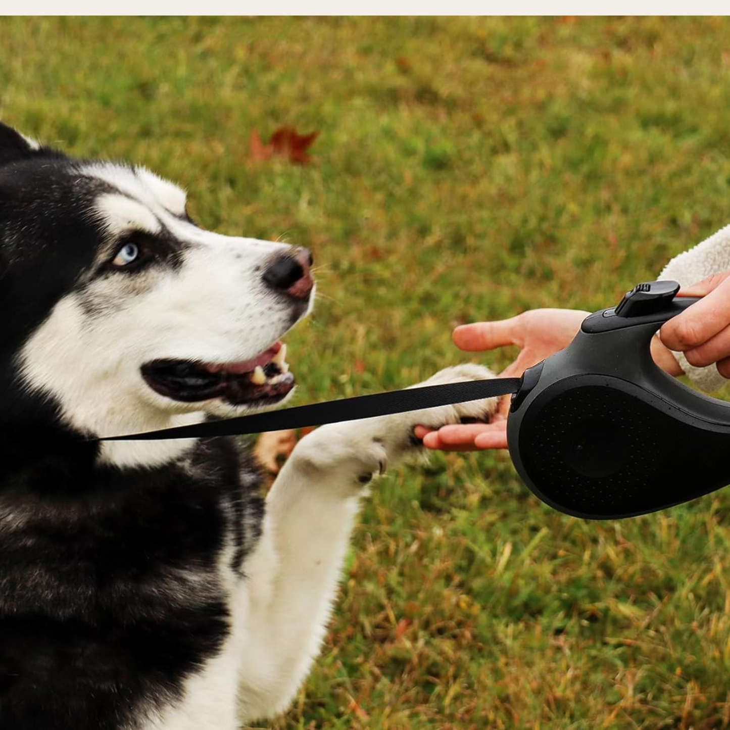 EasyGlide 360° Retractable Dog Lead