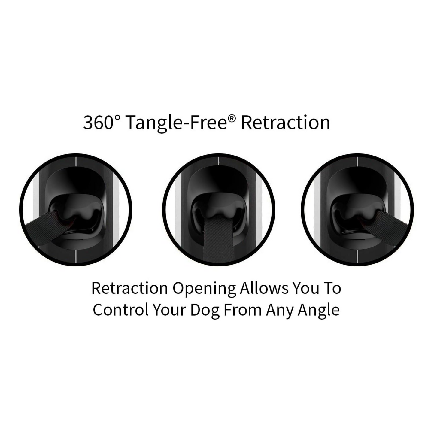 EasyGlide 360° Retractable Dog Lead