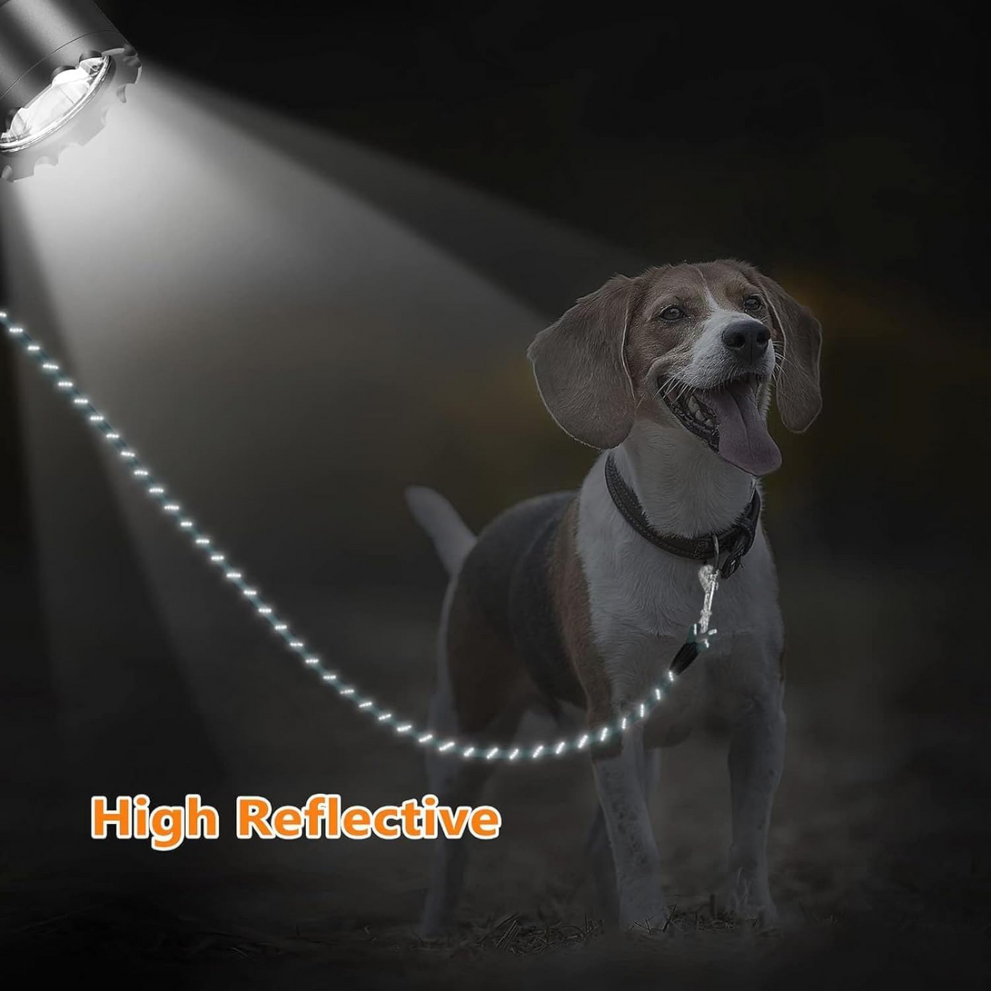 2Pcs Long Rope Leash for Dog Training