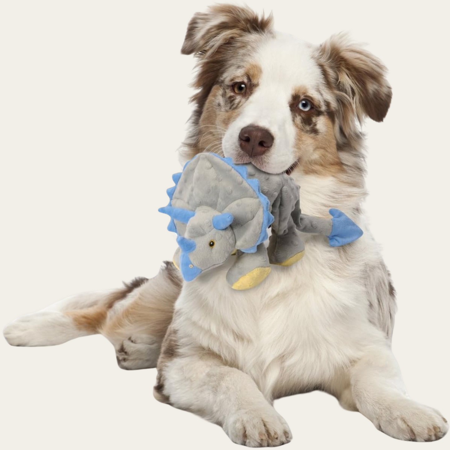 Tough Frill Dino – Heavy-Duty Plush with Chew Guard