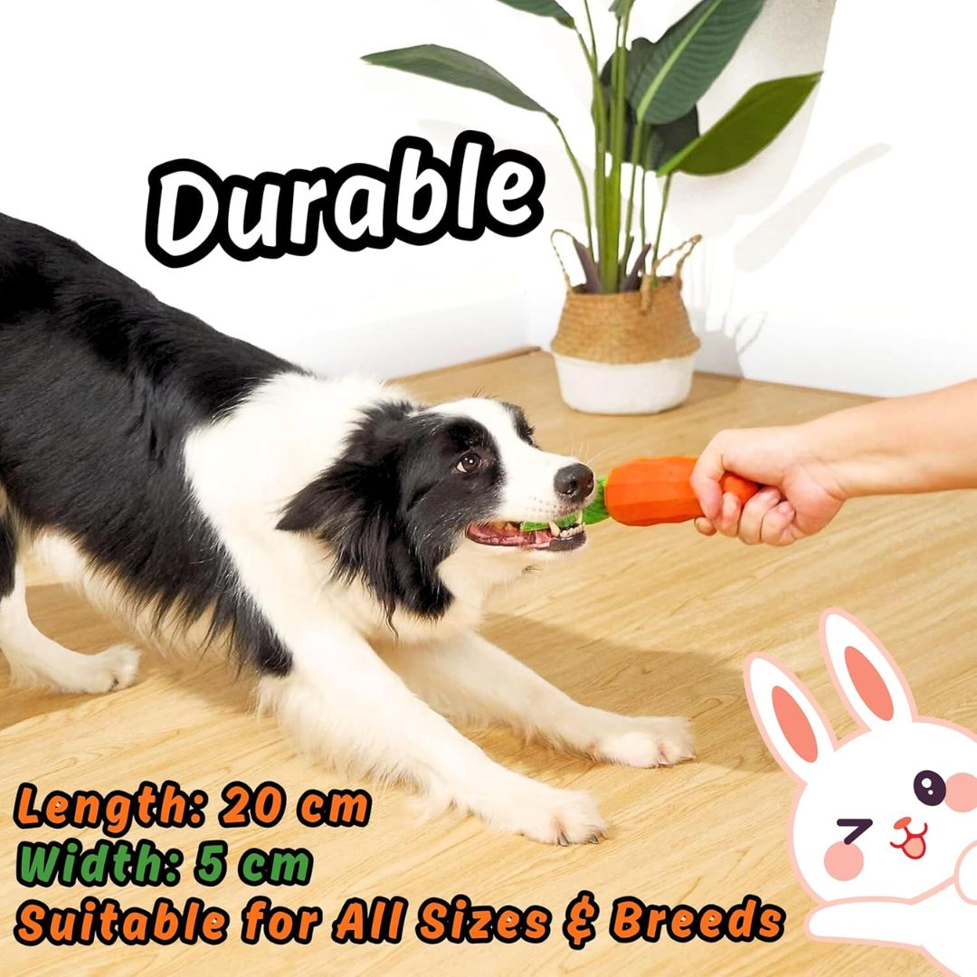 Squeaky Dog Chew Toy – Crinkle & Durable Rubber for Aggressive Chewers