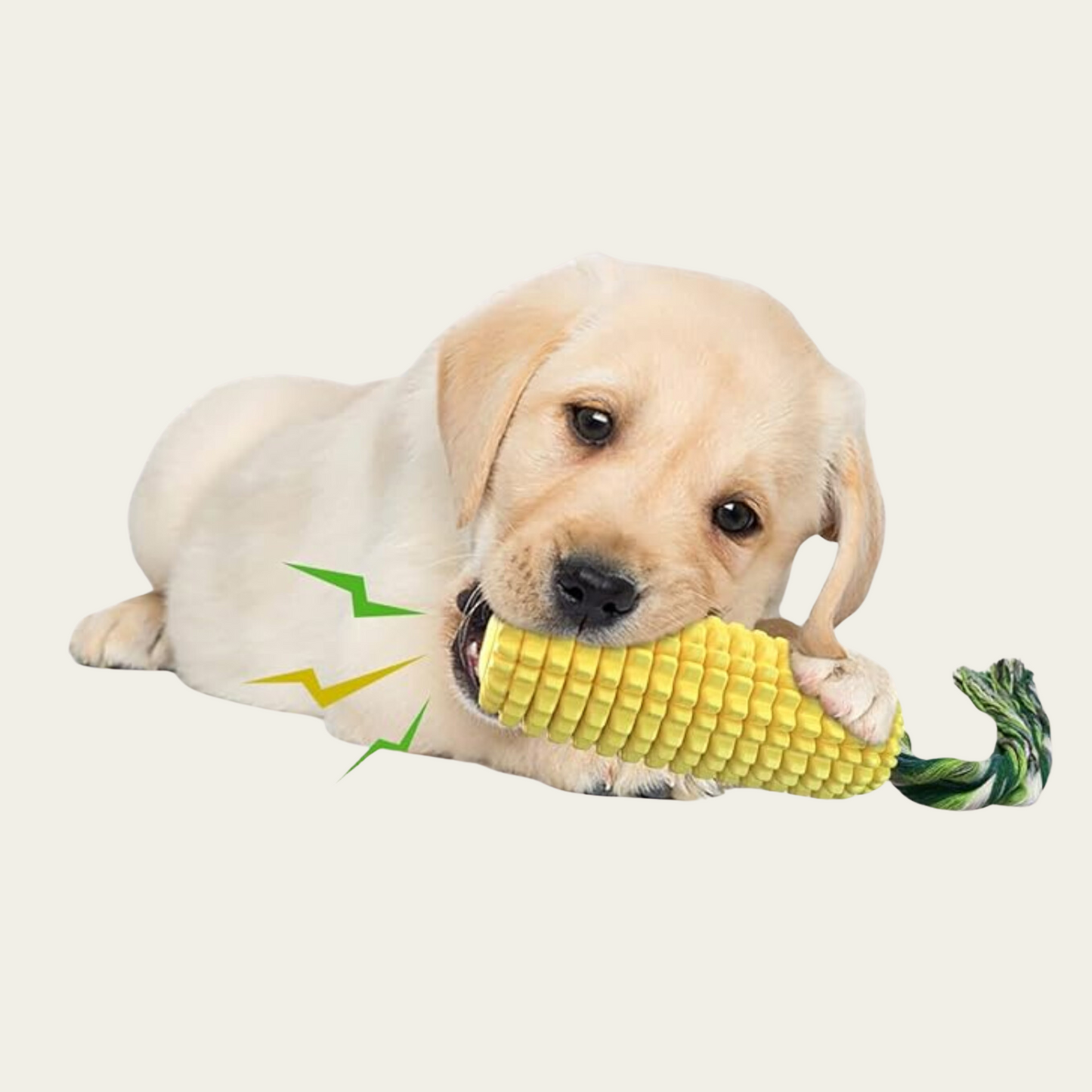 Indestructible Dog Chew Toys for Aggressive Chewers