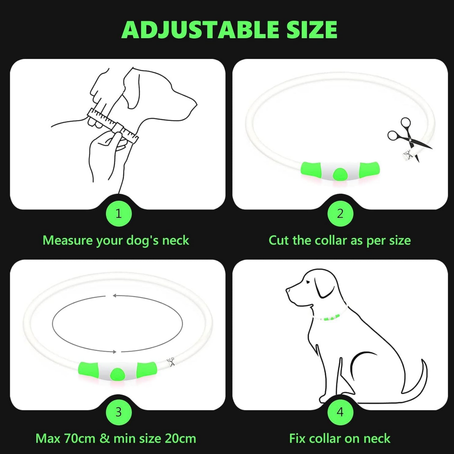 GlowTrail Safety Collar
