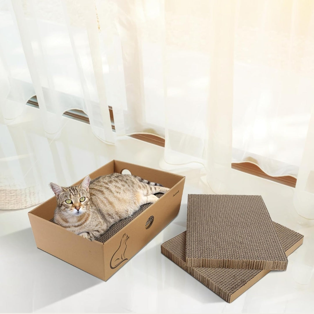 Cat Scratcher Box with 4 Reversible Pads & Catnip