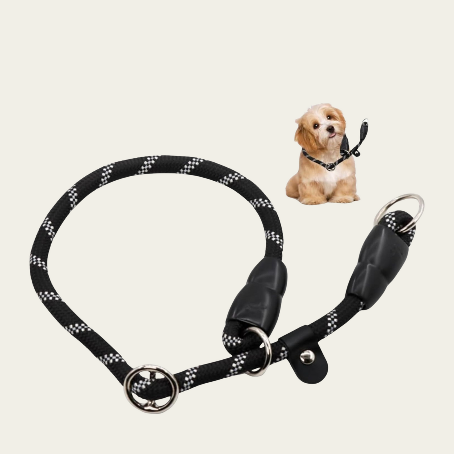 Dog Slip Collar with Reflective Strips