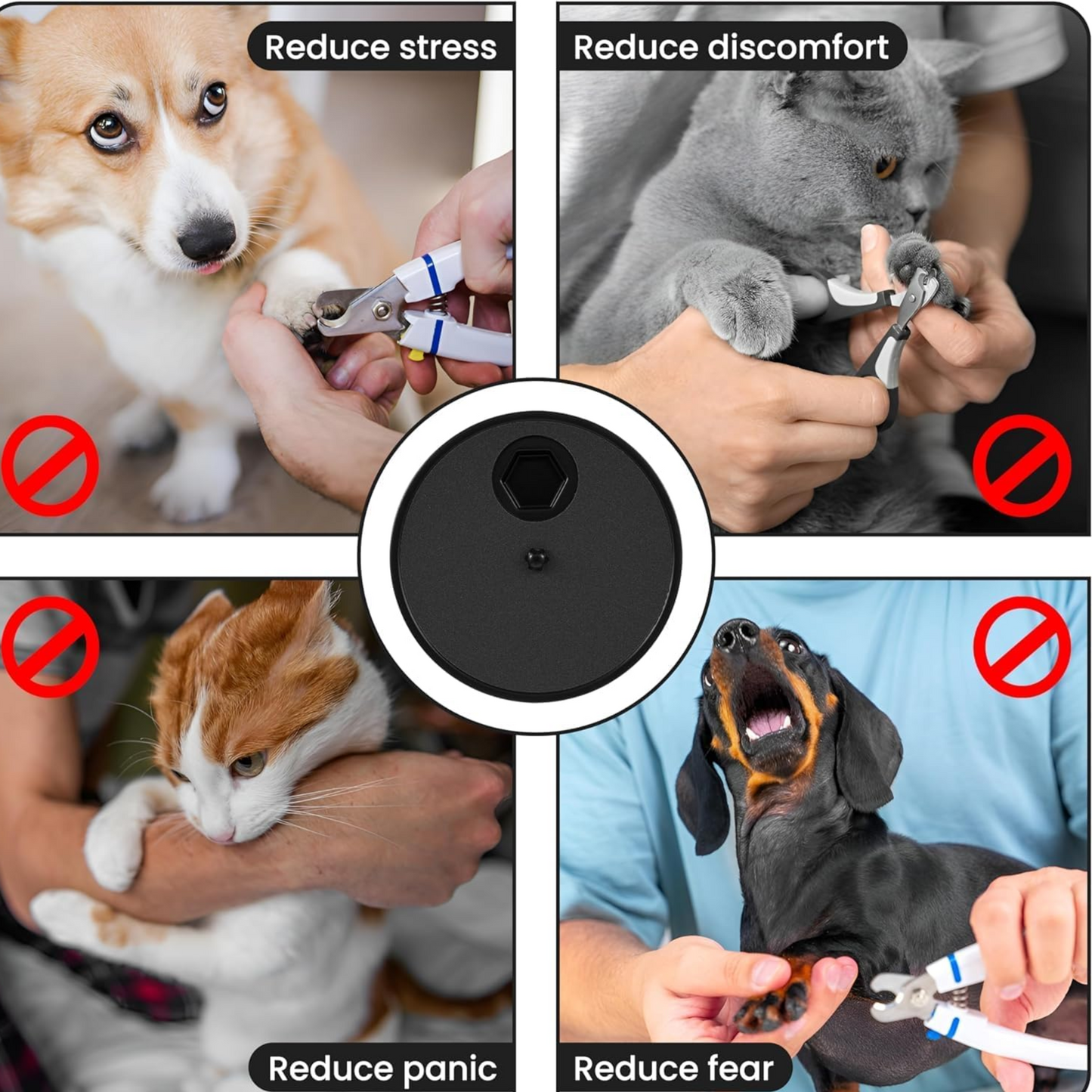 Dog Scratch Pad – Rotatable Nail Grinder & Treat Storage