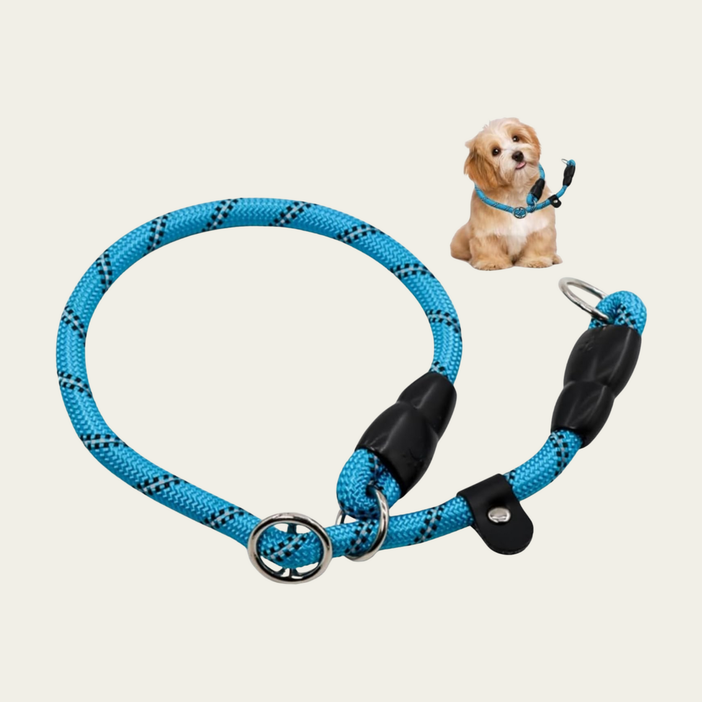Dog Slip Collar with Reflective Strips