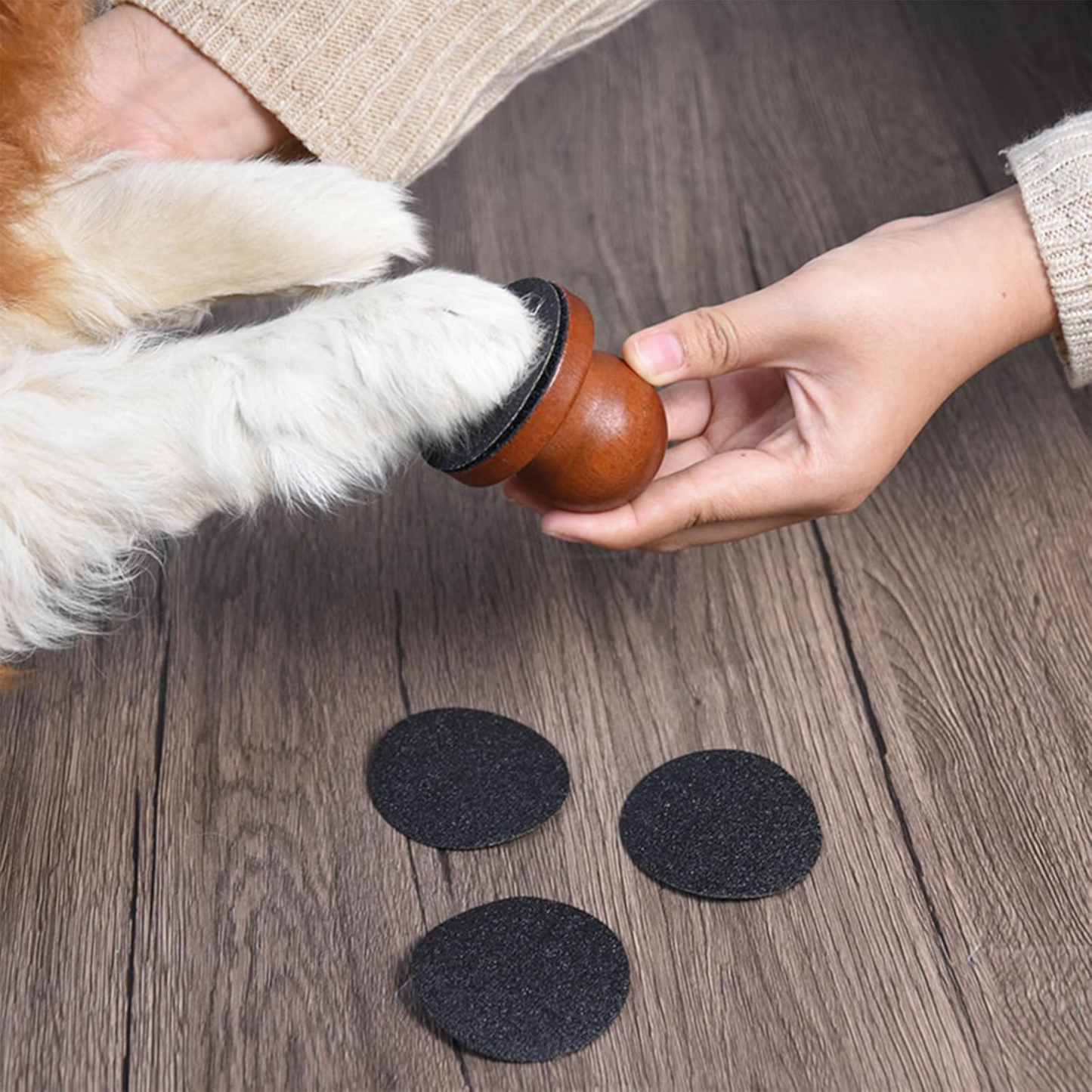 PawsEase Dog Nail Scratcher