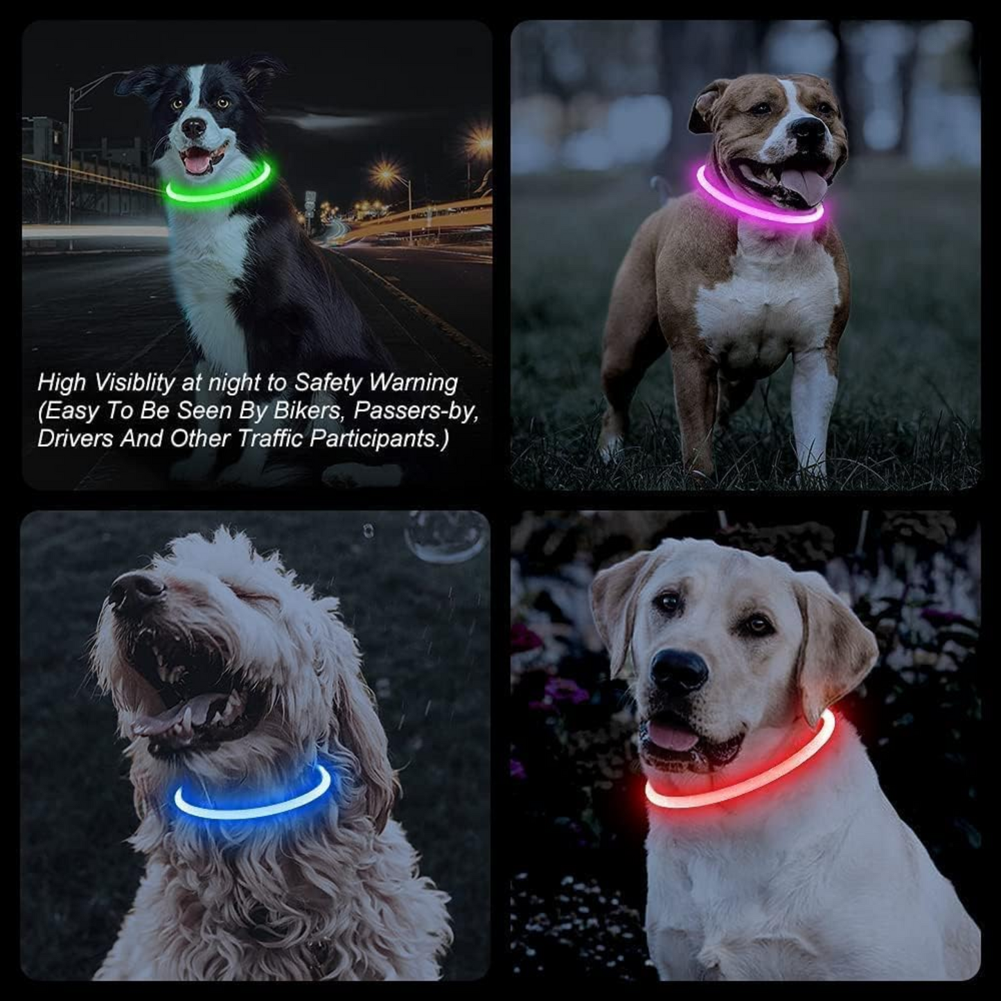 GlowTrail Safety Collar