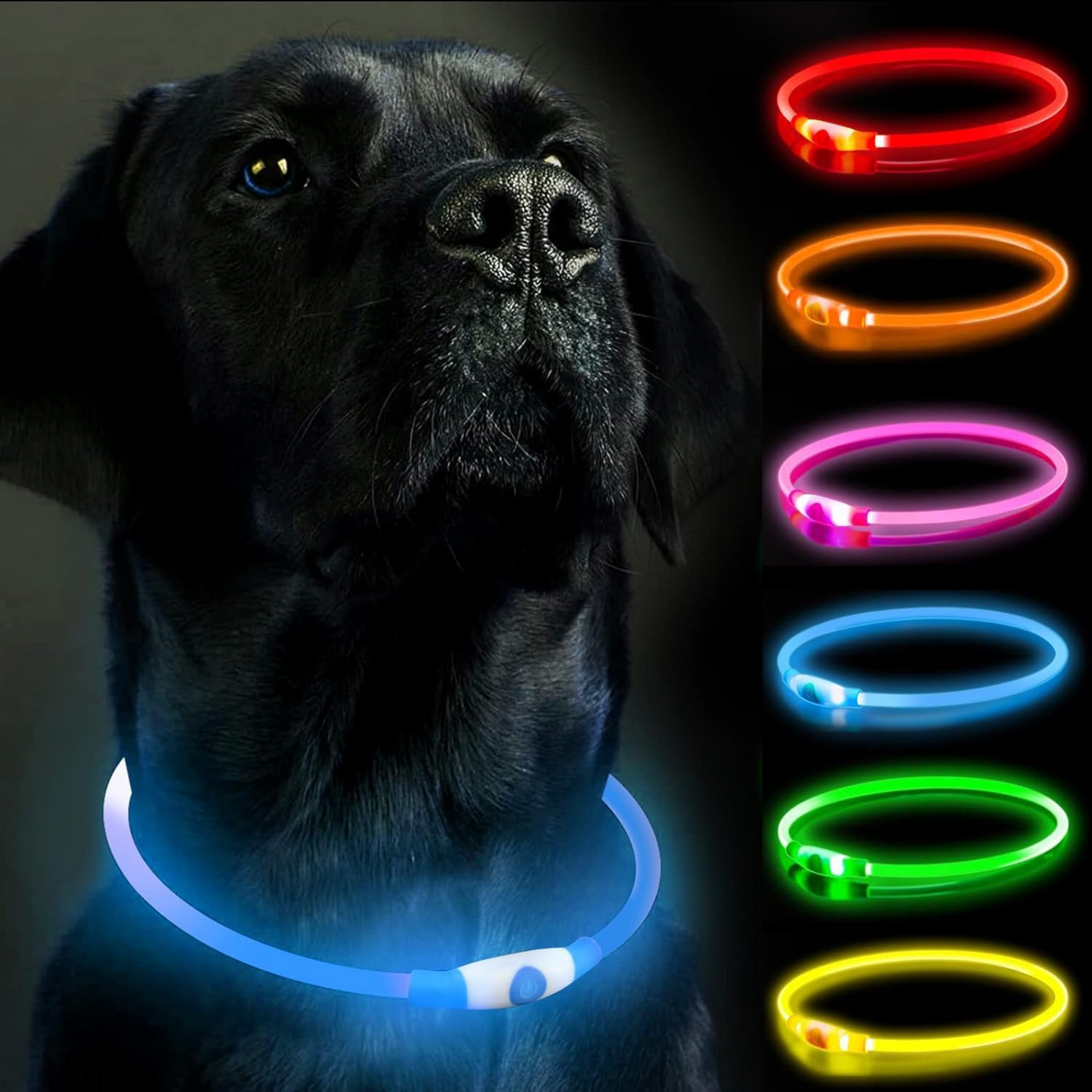 GlowTrail Safety Collar