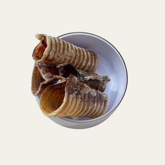 Grass-Fed Beef Trachea