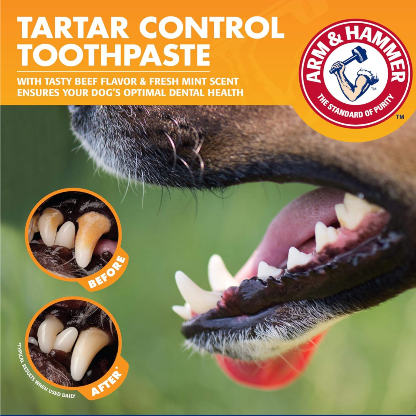 Dog Dental Care Tartar Control Kit for Dogs