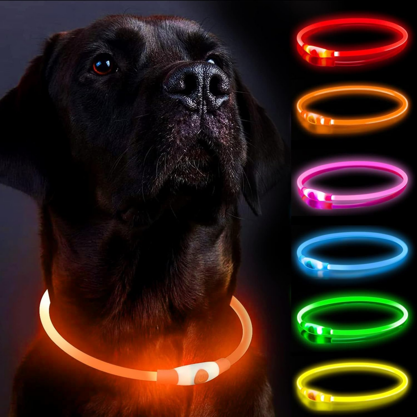 GlowTrail Safety Collar