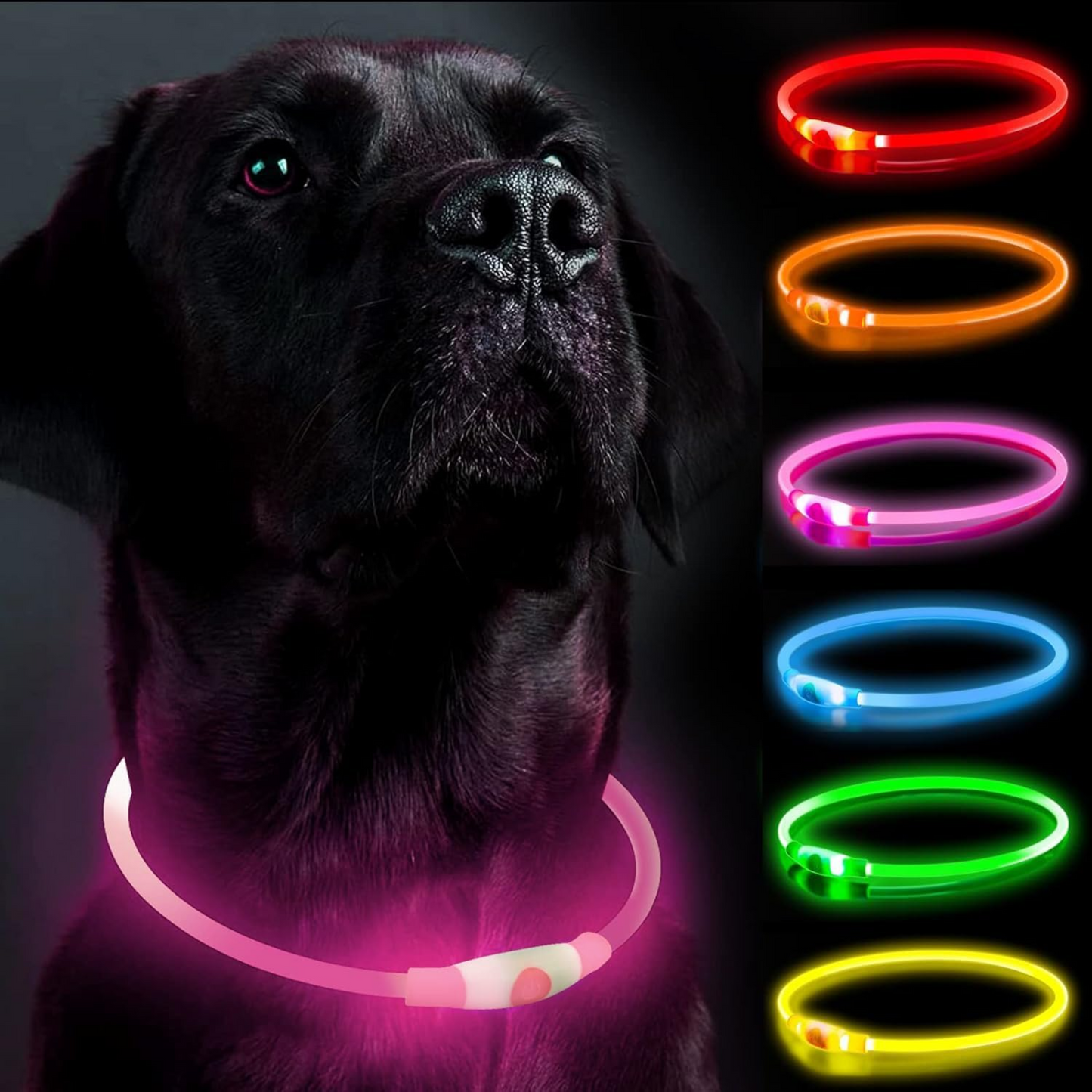 GlowTrail Safety Collar
