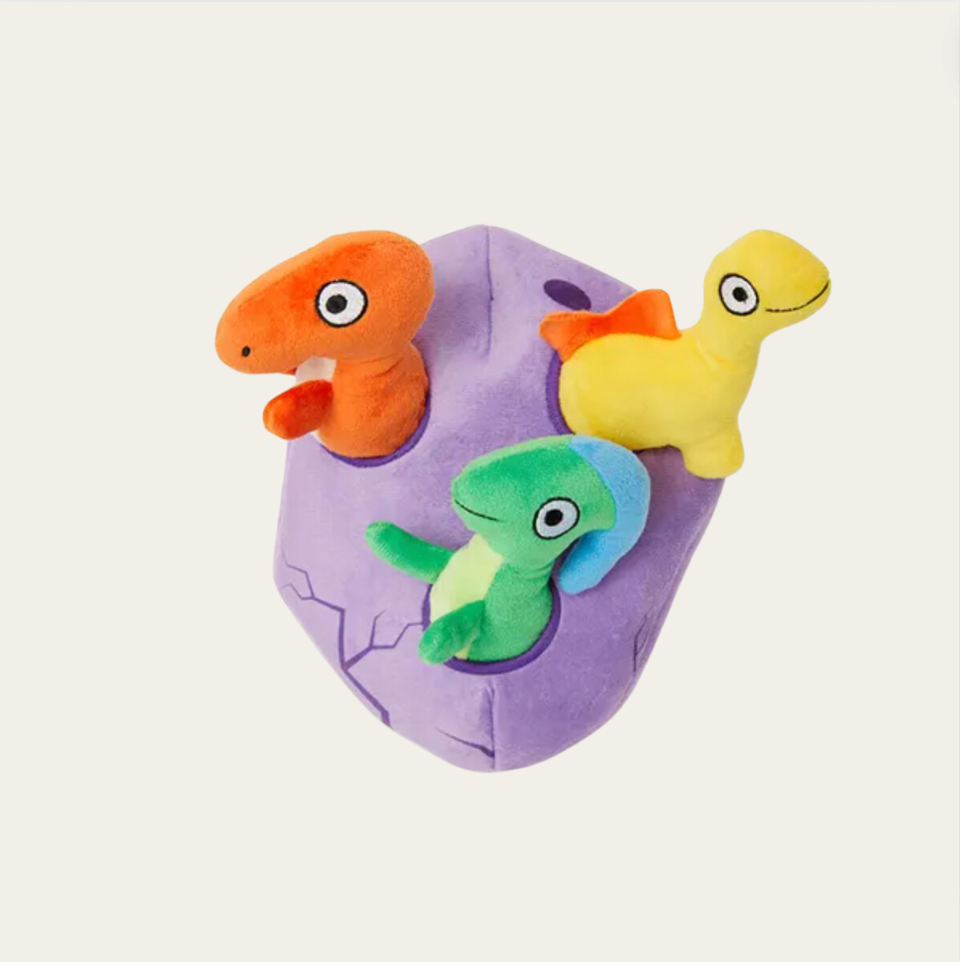 Dinosaur Egg Burrow Dog Toy