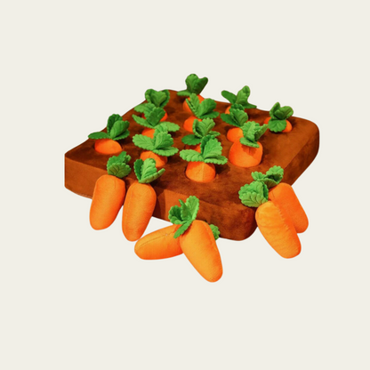 ChewBuddy Pet Toy Carrot