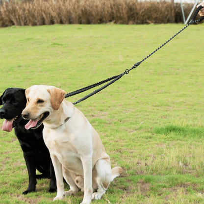 DuoPaws Double Leash