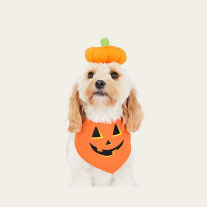 Howl-o-ween Pumpkin Pet Costume Hat