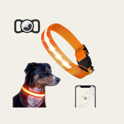 LED Glow Dog Collar with AirTag Holder – Rechargeable, Light-Up Safety Collar