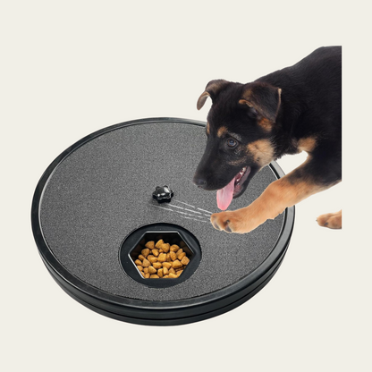 Dog Scratch Pad – Rotatable Nail Grinder & Treat Storage