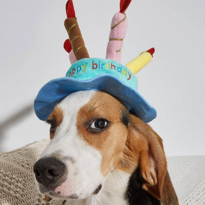 PawtyTime Plush Birthday Hat