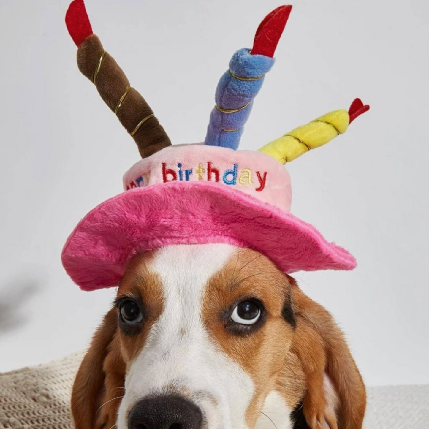 PawtyTime Plush Birthday Hat