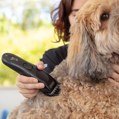 Home Pet Grooming Combo