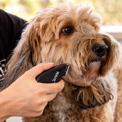 Home Pet Grooming Combo