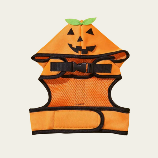 Spooky Halloween Pet Hooded Harness