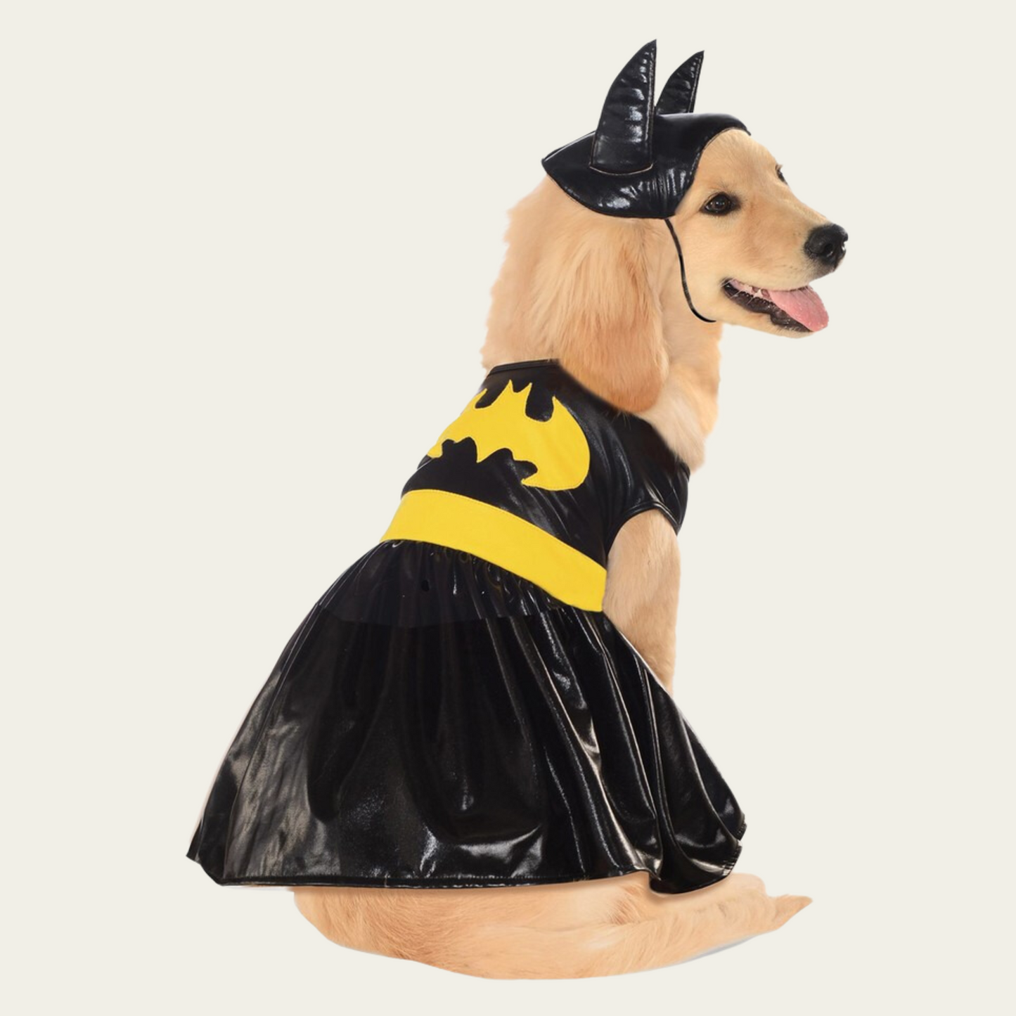 Batgirl Pet Costume