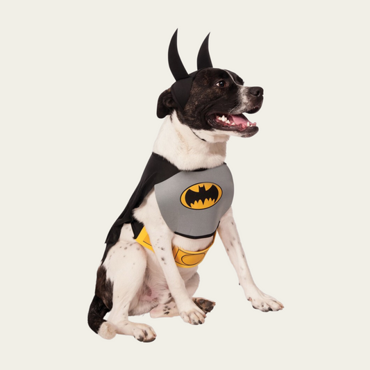 Batman Classic Pet Costume