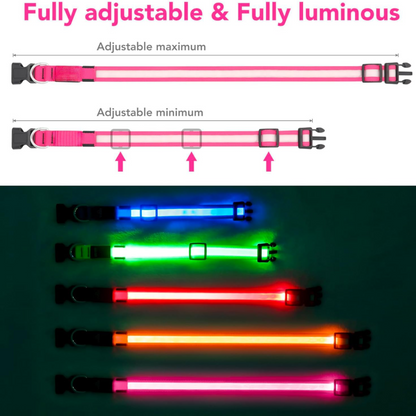 LED Glow Dog Collar with AirTag Holder – Rechargeable, Light-Up Safety Collar