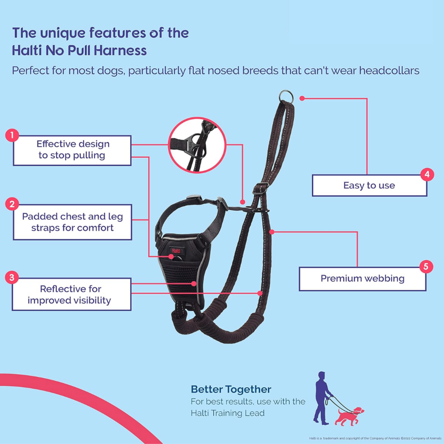 No Pull Harness for Small, Medium, or Large Dogs