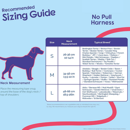 No Pull Harness for Small, Medium, or Large Dogs