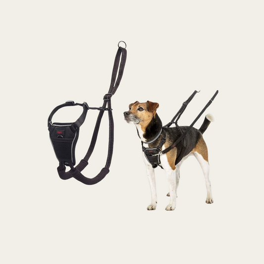 No Pull Harness for Small, Medium, or Large Dogs