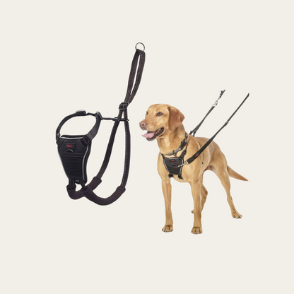 No Pull Harness for Small, Medium, or Large Dogs