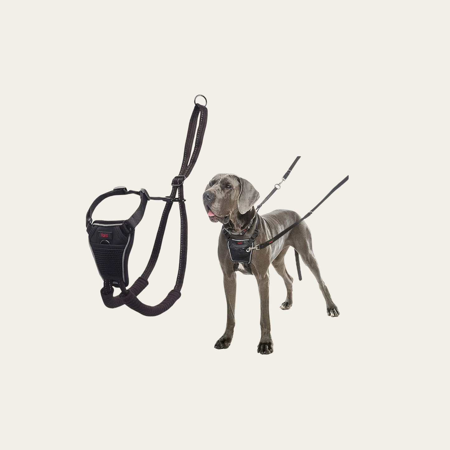 No Pull Harness for Small, Medium, or Large Dogs