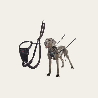 No Pull Harness for Small, Medium, or Large Dogs