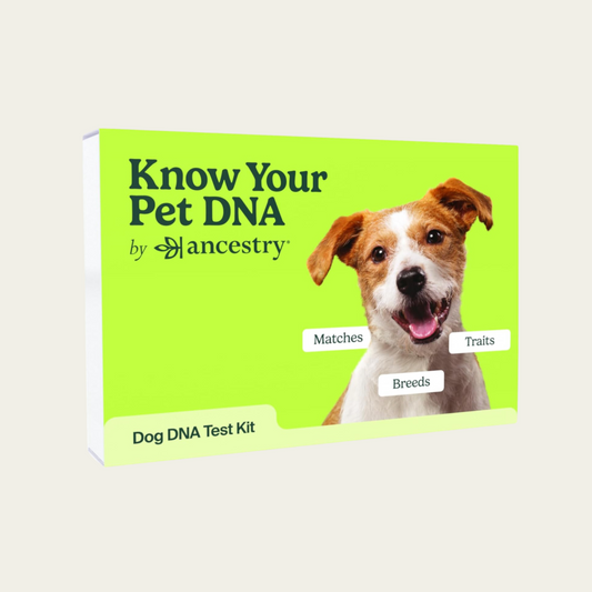 Dog DNA Breed Identification Test