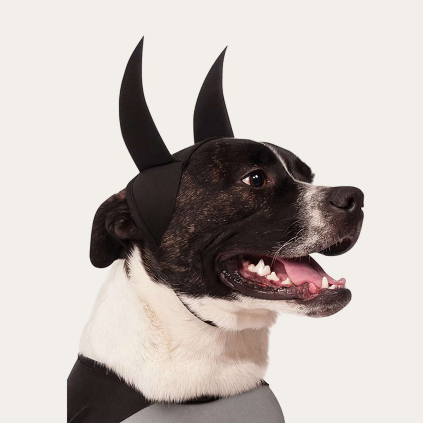 Batman Classic Pet Costume