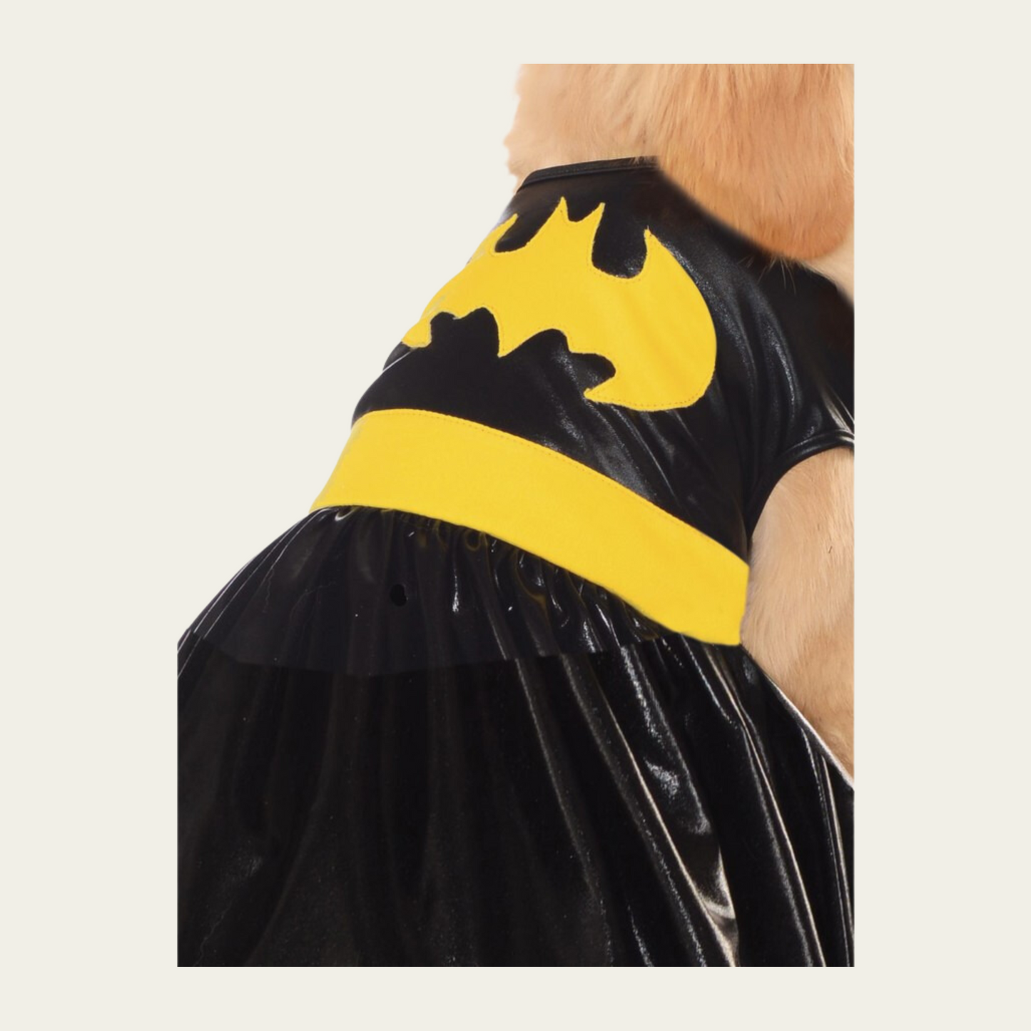 Batgirl Pet Costume